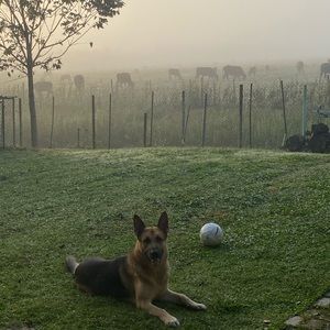 Meet your Posher, Alejandra